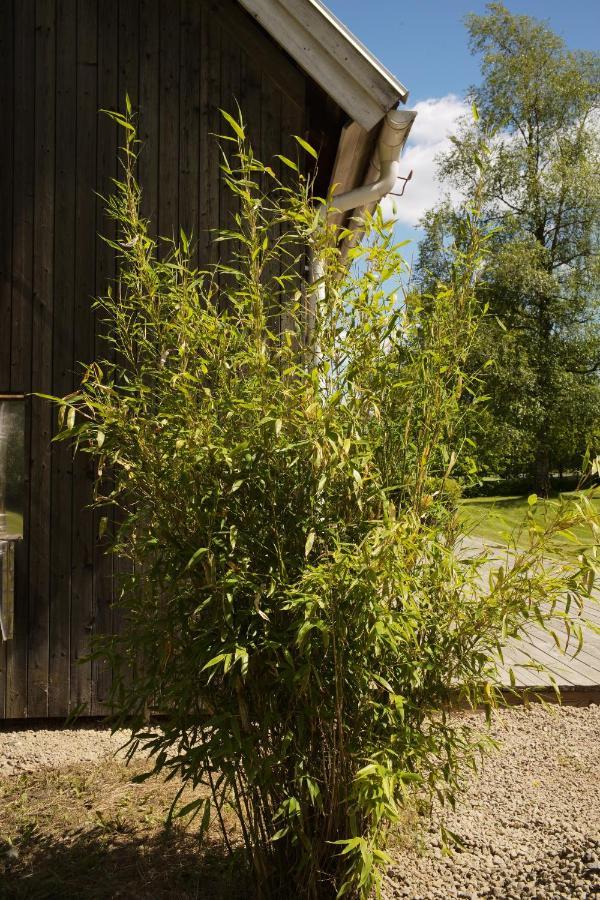 Nässjö Gransaeng Loft Houseヴィラ エクステリア 写真